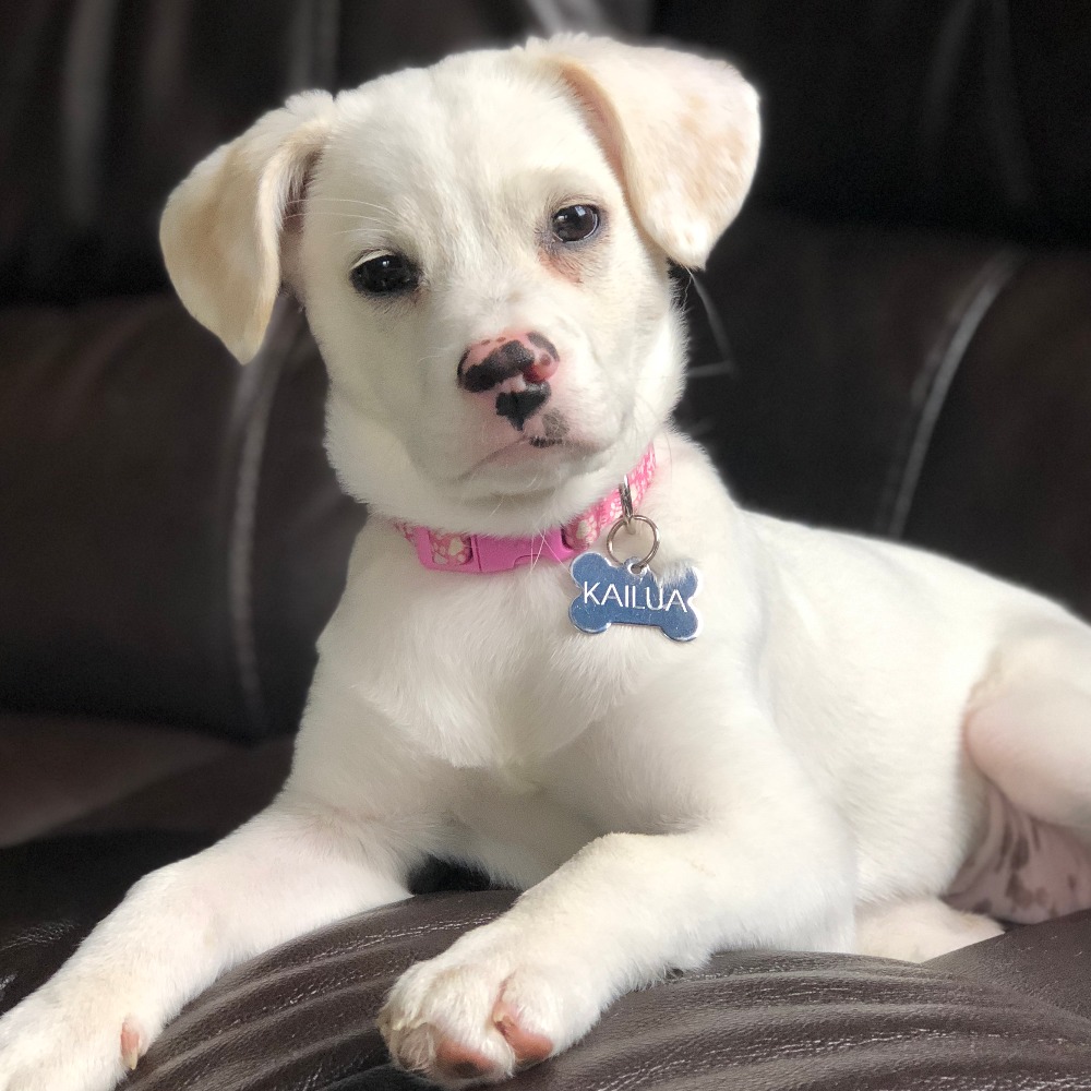 Meet your Posher, Kirsten